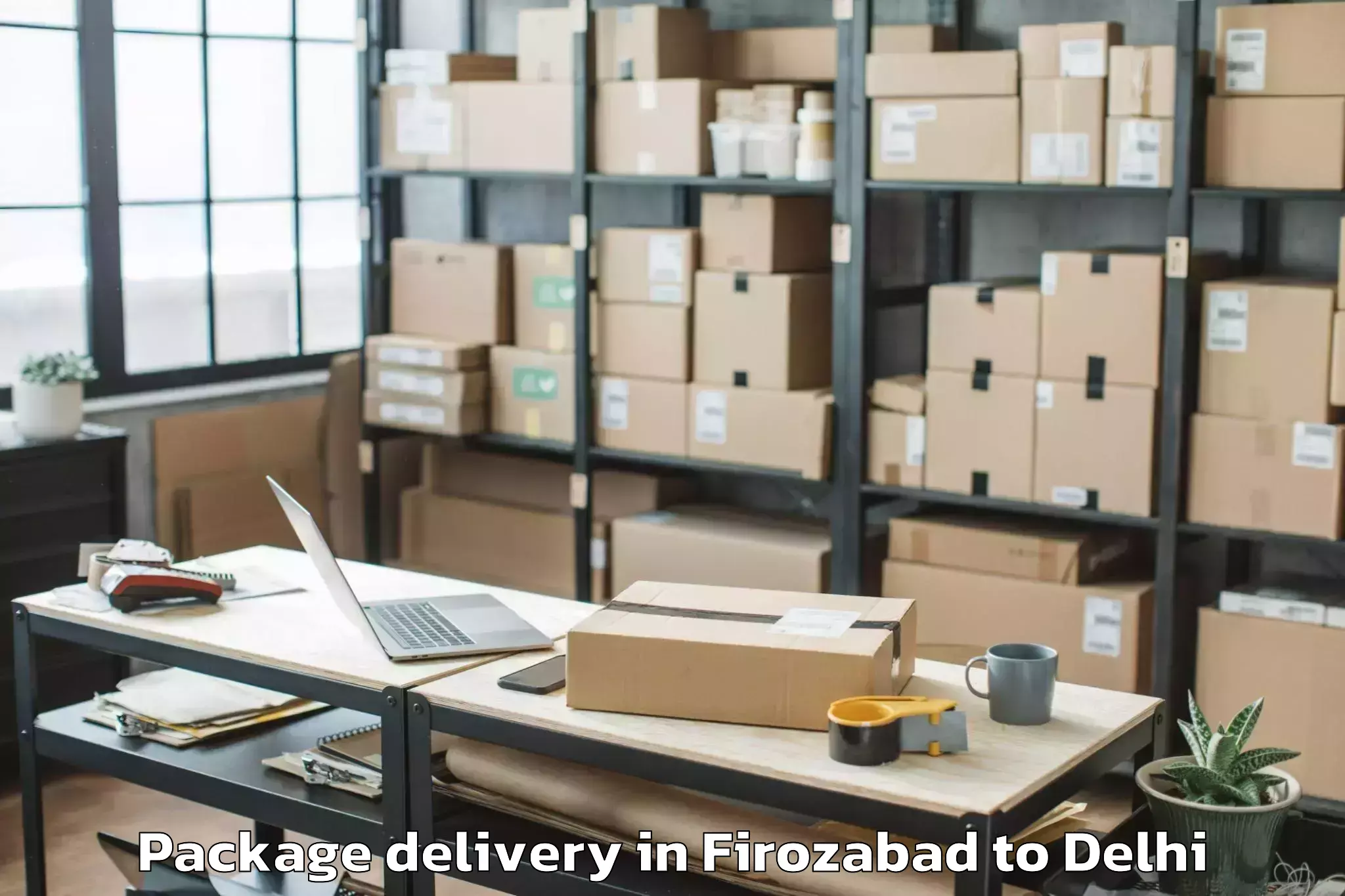 Hassle-Free Firozabad to Karol Bagh Package Delivery